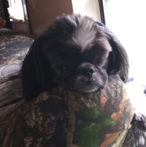 Meet your Posher, Christy